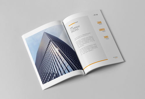 簡約大氣，專業信賴 商務咨詢與投資企業公司畫冊